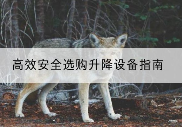 宛城升降货梯厂家推荐-*安全选购升降设备指南