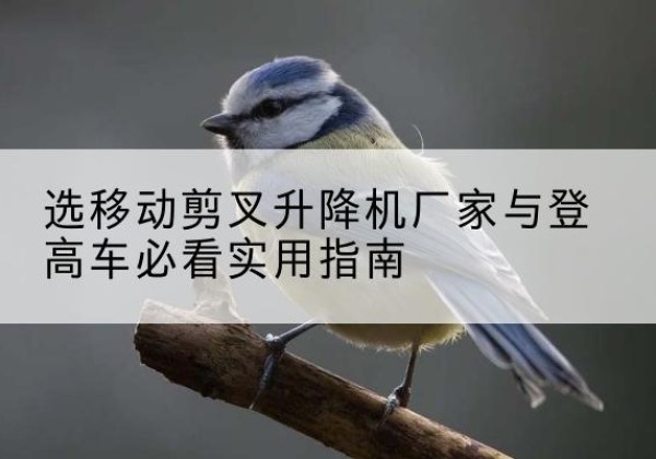 宛城电动升降机厂家-选移动剪叉升降机厂家与登高车必看实用指南
